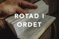 web_rotadiordet